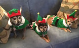 Santa’s Helpers