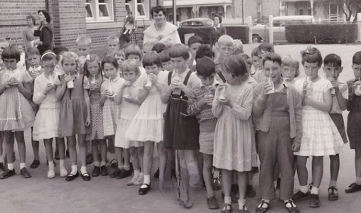 image4.png image4.png