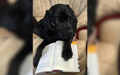 image2.jpg image2.jpg