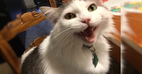 Resize template (6).png Resize template (6).png