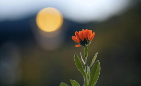 Screenshot 2024-09-26 at 10.52.41 AM.png Screenshot 2024-09-26 at 10.52.41 AM.png