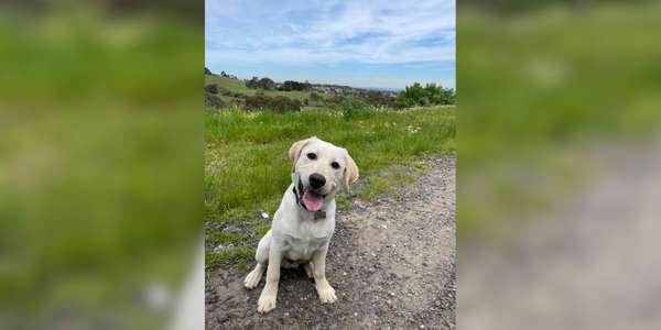 compressed-4.jpeg compressed-4.jpeg