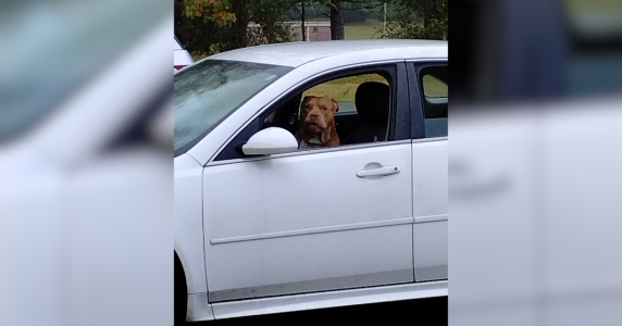 Resize template (8).png Resize template (8).png