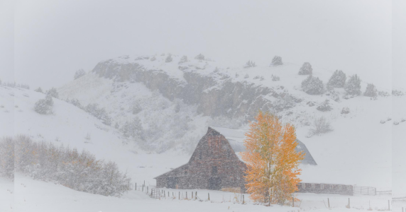 Resize template (3).png Resize template (3).png