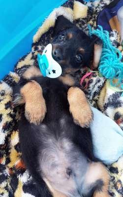 compressed-baby.jpeg compressed-baby.jpeg