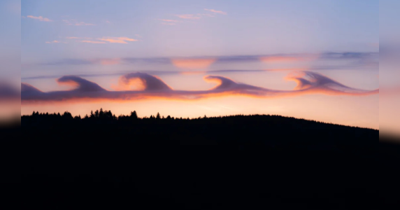 Resize template (15).png Resize template (15).png