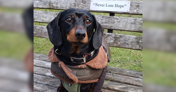 Resize template (14).png Resize template (14).png