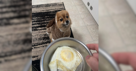 Resize template (31).png Resize template (31).png