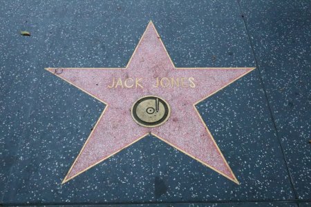 shutterstock_2343629137.jpg shutterstock_2343629137.jpg