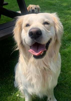 compressed-happy dec28.jpeg compressed-happy dec28.jpeg