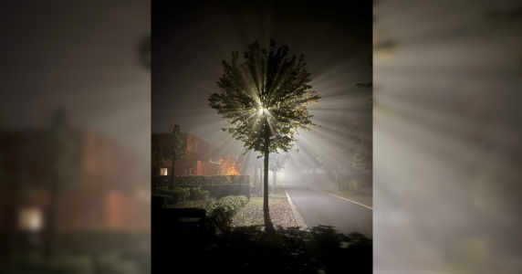 Resize template (3).png Resize template (3).png