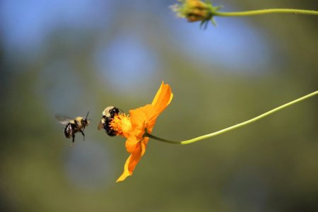 b-cole-q3CdB_JNzZA-unsplash.jpg b-cole-q3CdB_JNzZA-unsplash.jpg