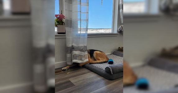 Resize template (20).png Resize template (20).png