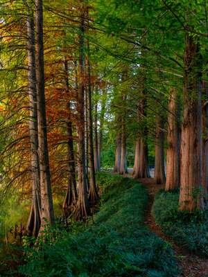 compressed-gradient.jpeg compressed-gradient.jpeg