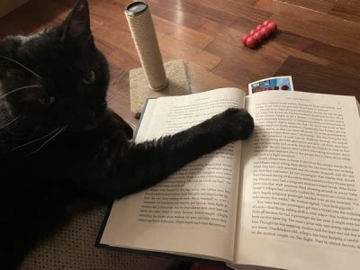 compressed-Nov30.jpeg compressed-Nov30.jpeg