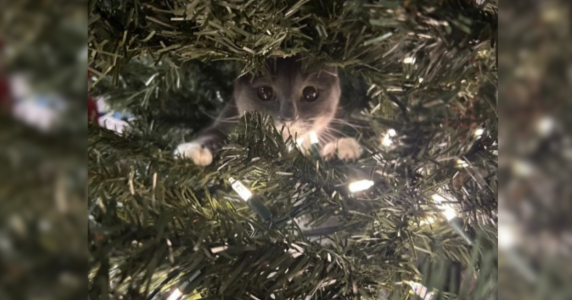 Resize template (30).png Resize template (30).png