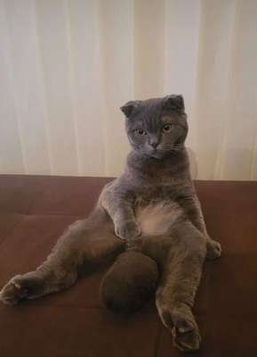 compressed-who's the boss.jpeg compressed-who's the boss.jpeg