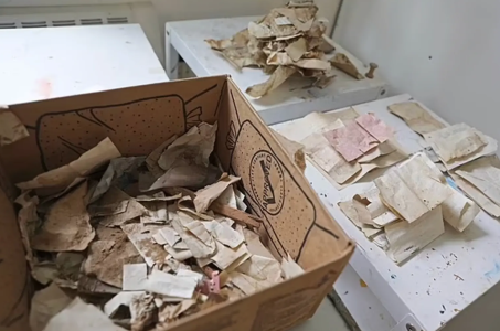 Screenshot 2024-12-17 at 14.52.21.png Screenshot 2024-12-17 at 14.52.21.png