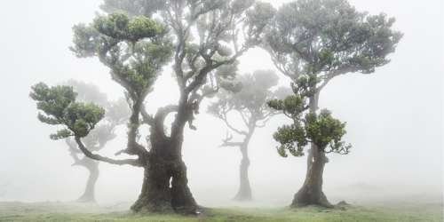 compressed-TGV (23).jpeg compressed-TGV (23).jpeg