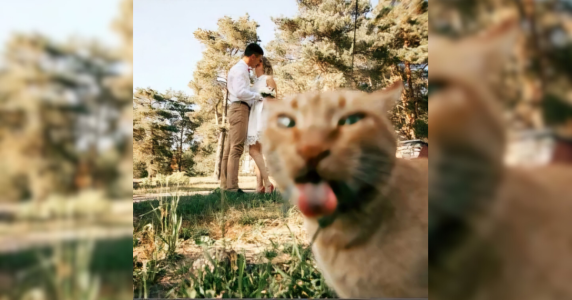 Resize template (11).png Resize template (11).png