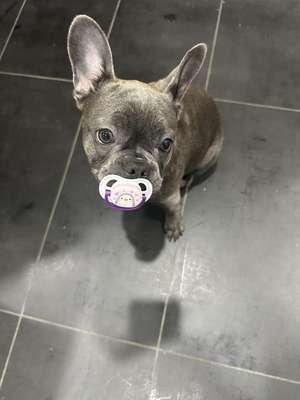 compressed-pacifier.jpeg compressed-pacifier.jpeg