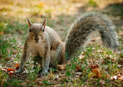 pexels-leonardo-luncasu-1230168729-22703030.jpg pexels-leonardo-luncasu-1230168729-22703030.jpg