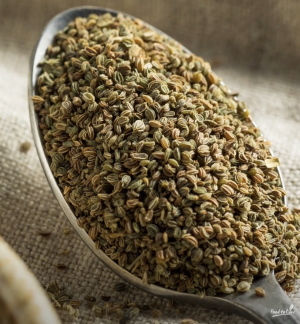 Screenshot 2025-01-02 at 12.13.38 AM.png Screenshot 2025-01-02 at 12.13.38 AM.png