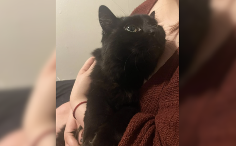 Screenshot 2025-01-02 at 1.54.42 PM.png Screenshot 2025-01-02 at 1.54.42 PM.png