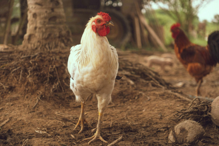 Screenshot 2025-01-07 at 11.09.23.png Screenshot 2025-01-07 at 11.09.23.png