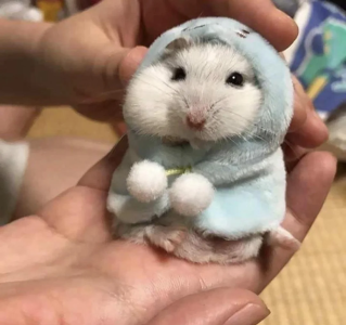 image (243).png image (243).png