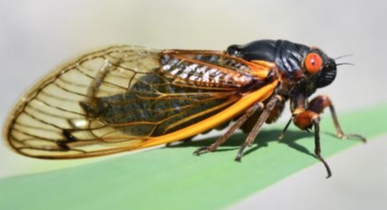 Screenshot 2025-01-13 at 11.54.16.png Screenshot 2025-01-13 at 11.54.16.png