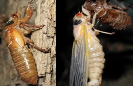 Screenshot 2025-01-13 at 11.54.27.png Screenshot 2025-01-13 at 11.54.27.png