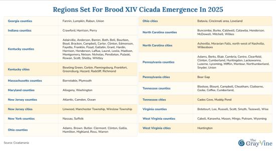 Screenshot 2025-01-13 at 15.10.14.png Screenshot 2025-01-13 at 15.10.14.png