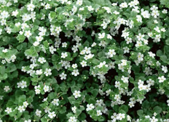 Screenshot 2025-01-14 at 12.27.27 AM.png Screenshot 2025-01-14 at 12.27.27 AM.png