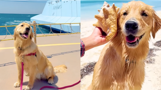 Screenshot 2025-01-14 at 14.45.05.png Screenshot 2025-01-14 at 14.45.05.png