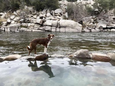 compressed-931esr8wkpce1.jpeg compressed-931esr8wkpce1.jpeg