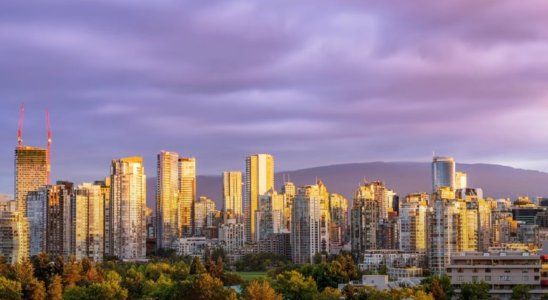 download (12).jpeg download (12).jpeg