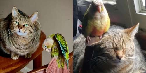 compressed-18.jpeg compressed-18.jpeg