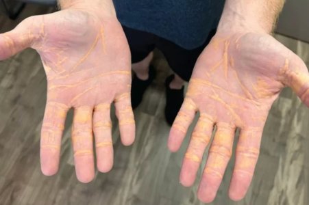 download (14).jpeg download (14).jpeg