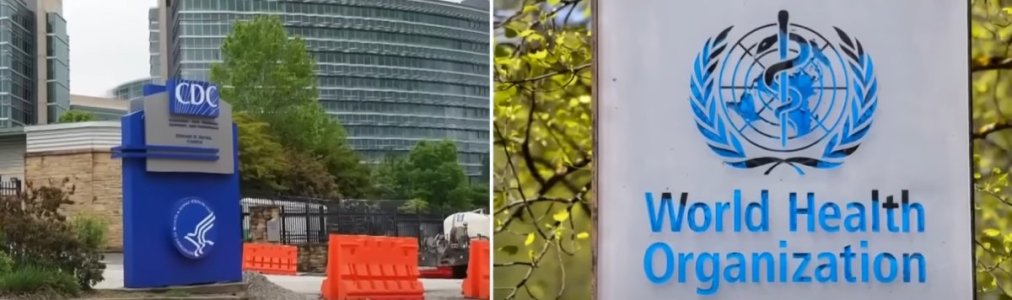 download (29).jpeg download (29).jpeg