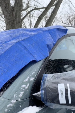 Screenshot 2025-01-29 at 7.36.38 PM.png Screenshot 2025-01-29 at 7.36.38 PM.png