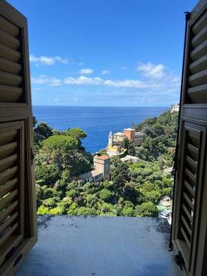 compressed-window.jpeg compressed-window.jpeg