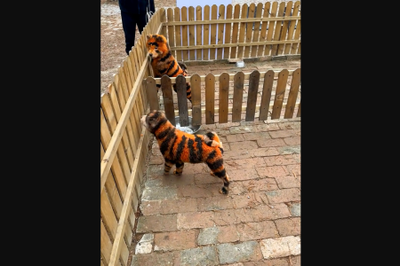 Screenshot 2025-01-31 at 14.45.47.png Screenshot 2025-01-31 at 14.45.47.png