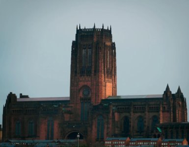 download (5).jpeg download (5).jpeg