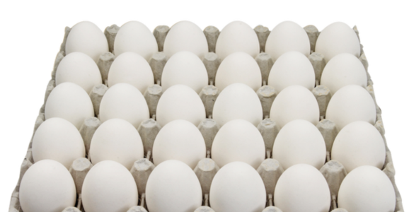 Screenshot 2025-02-11 at 14.48.16.png Screenshot 2025-02-11 at 14.48.16.png