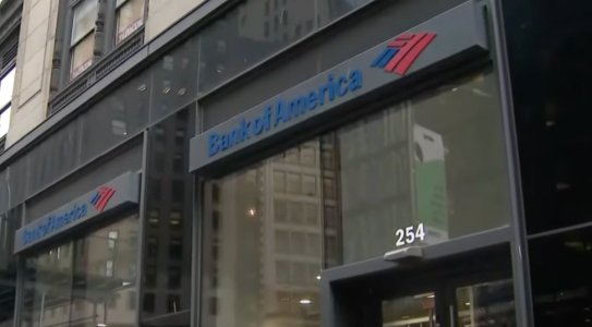 download (10).jpeg download (10).jpeg