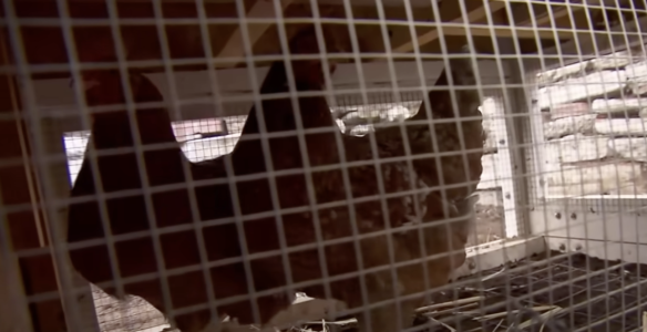 Screenshot 2025-02-14 at 13.30.12.png Screenshot 2025-02-14 at 13.30.12.png