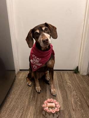 compressed-bark mitzvah.jpeg compressed-bark mitzvah.jpeg