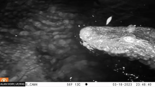 Screenshot 2025-02-18 at 11.57.43 PM.png Screenshot 2025-02-18 at 11.57.43 PM.png