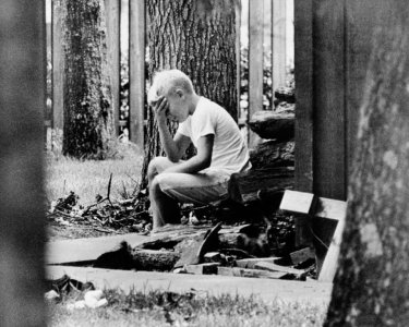 399153303_306688742164384_5475570558955551030_n.jpg 399153303_306688742164384_5475570558955551030_n.jpg